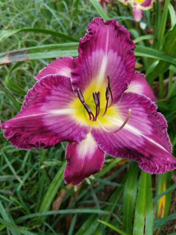 Doris Gere (3)